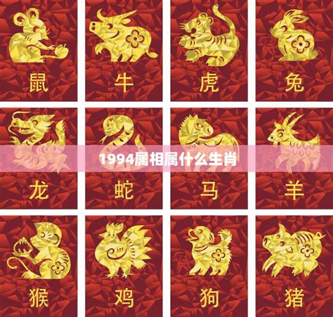 1994属|1994年属什么生肖 1994年出生是什么命